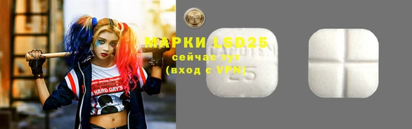 ГАЛЛЮЦИНОГЕННЫЕ ГРИБЫ Балабаново
