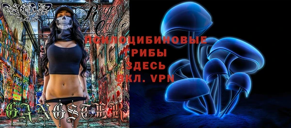 спайс Баксан