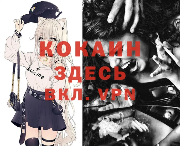 спайс Баксан