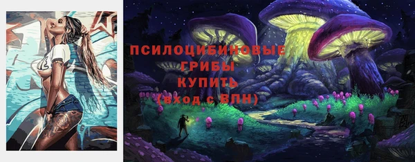спайс Баксан