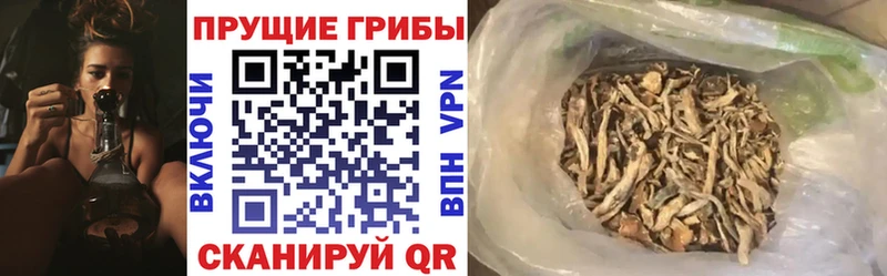 Галлюциногенные грибы MAGIC MUSHROOMS  Иноземцево 